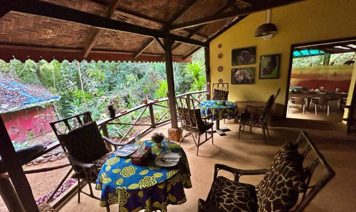 Discover Sierra Leone’s Top Eco Retreats