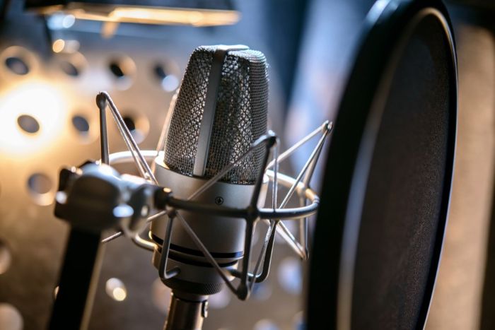 What You Should Know About Dubbing